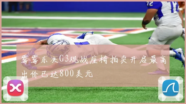 霉霉东决G3观战座椅拍卖开启最高出价已达800美元