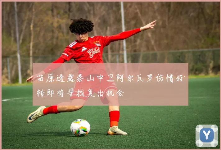 苗原透露泰山中卫阿尔瓦罗伤情好转即将寻找复出机会