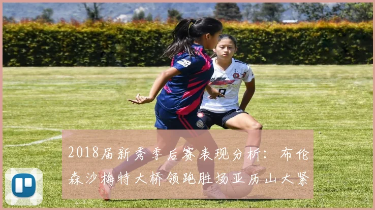 2018届新秀季后赛表现分析：布伦森沙梅特大桥领跑胜场亚历山大紧随其后